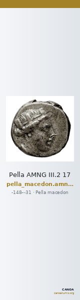 Pella AMNG III.2 17 — CANOA