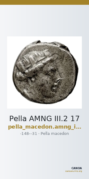 Pella AMNG III.2 17 — CANOA