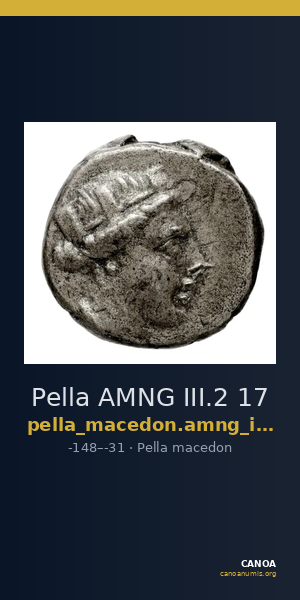 Pella AMNG III.2 17 — CANOA