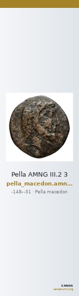 Pella AMNG III.2 3 — CANOA