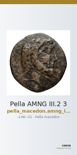 Pella AMNG III.2 3 — CANOA