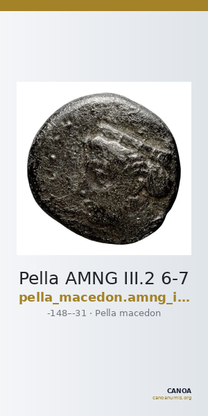 Pella AMNG III.2 6-7 — CANOA