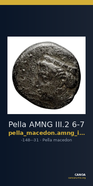 Pella AMNG III.2 6-7 — CANOA