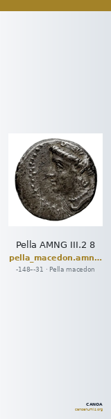 Pella AMNG III.2 8 — CANOA