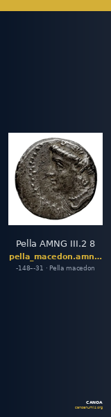 Pella AMNG III.2 8 — CANOA