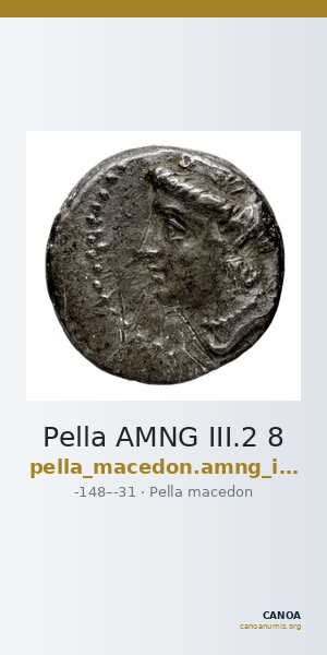 Pella AMNG III.2 8 — CANOA