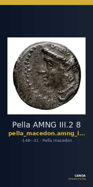 Pella AMNG III.2 8 — CANOA
