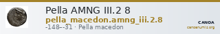 Pella AMNG III.2 8 — CANOA