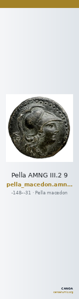 Pella AMNG III.2 9 — CANOA