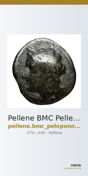 Pellene BMC Pellene 1-2 — CANOA