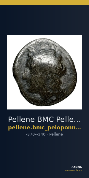 Pellene BMC Pellene 1-2 — CANOA