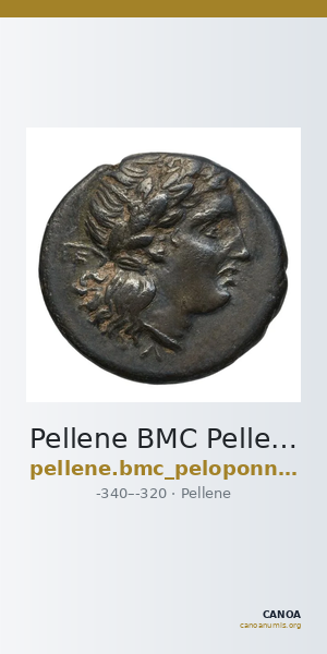Pellene BMC Pellene 3-4 — CANOA