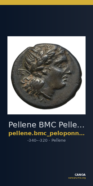 Pellene BMC Pellene 3-4 — CANOA