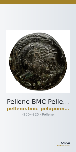 Pellene BMC Pellene 8-12 — CANOA