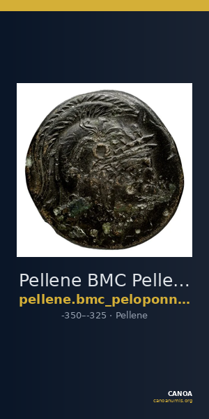 Pellene BMC Pellene 8-12 — CANOA