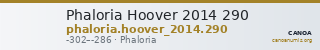 Phaloria Hoover 2014 290 — CANOA