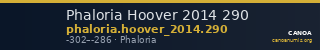 Phaloria Hoover 2014 290 — CANOA