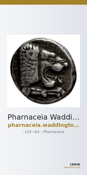 Pharnaceia Waddington 1925 3 — CANOA