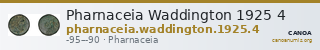Pharnaceia Waddington 1925 4 — CANOA