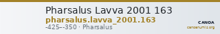 Pharsalus Lavva 2001 163 — CANOA