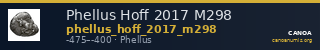 Phellus Hoff 2017 M298 — CANOA