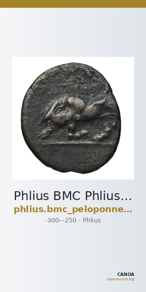 Phlius BMC Phlius 18-22 — CANOA