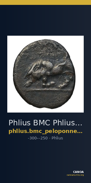Phlius BMC Phlius 18-22 — CANOA