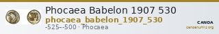 Phocaea Babelon 1907 530 — CANOA