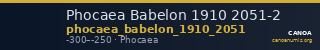 Phocaea Babelon 1910 2051-2 — CANOA
