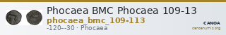 Phocaea BMC Phocaea 109-13 — CANOA