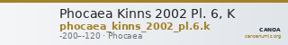 Phocaea Kinns 2002 Pl. 6, K — CANOA