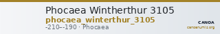 Phocaea Wintherthur 3105 — CANOA