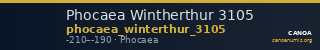 Phocaea Wintherthur 3105 — CANOA