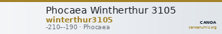 Phocaea Wintherthur 3105 — CANOA