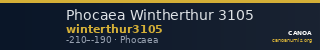 Phocaea Wintherthur 3105 — CANOA