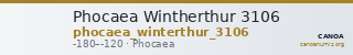 Phocaea Wintherthur 3106 — CANOA