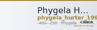 Phygela Hurter 1994 1 — CANOA