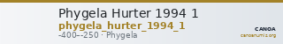 Phygela Hurter 1994 1 — CANOA