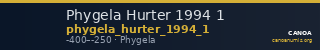 Phygela Hurter 1994 1 — CANOA