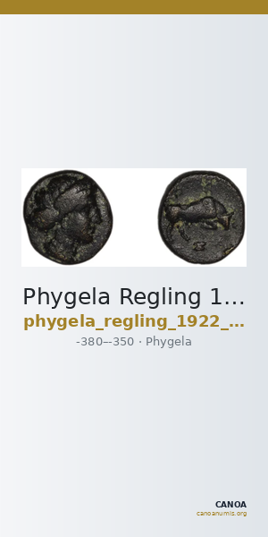 Phygela Regling 1922 Group III — CANOA