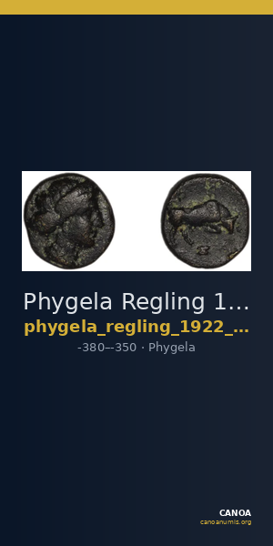 Phygela Regling 1922 Group III — CANOA