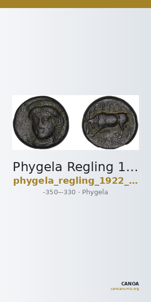 Phygela Regling 1922 Group IV — CANOA