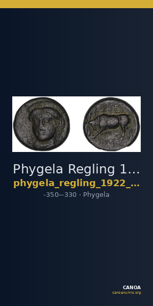 Phygela Regling 1922 Group IV — CANOA