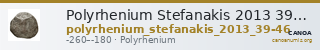 Polyrhenium Stefanakis 2013 39-42 — CANOA