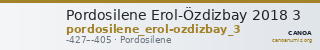 Pordosilene Erol-Özdizbay 2018 3 — CANOA