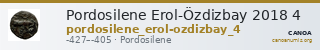 Pordosilene Erol-Özdizbay 2018 4 — CANOA