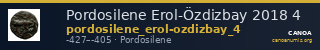 Pordosilene Erol-Özdizbay 2018 4 — CANOA