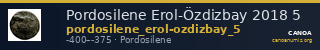 Pordosilene Erol-Özdizbay 2018 5 — CANOA