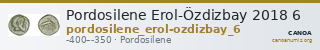 Pordosilene Erol-Özdizbay 2018 6 — CANOA