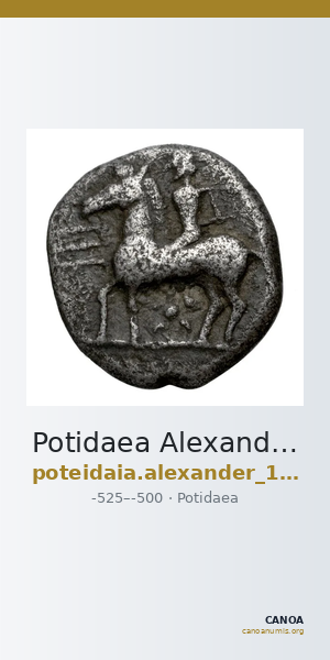 Potidaea Alexander 1953 Period I.A. b1-2 — CANOA